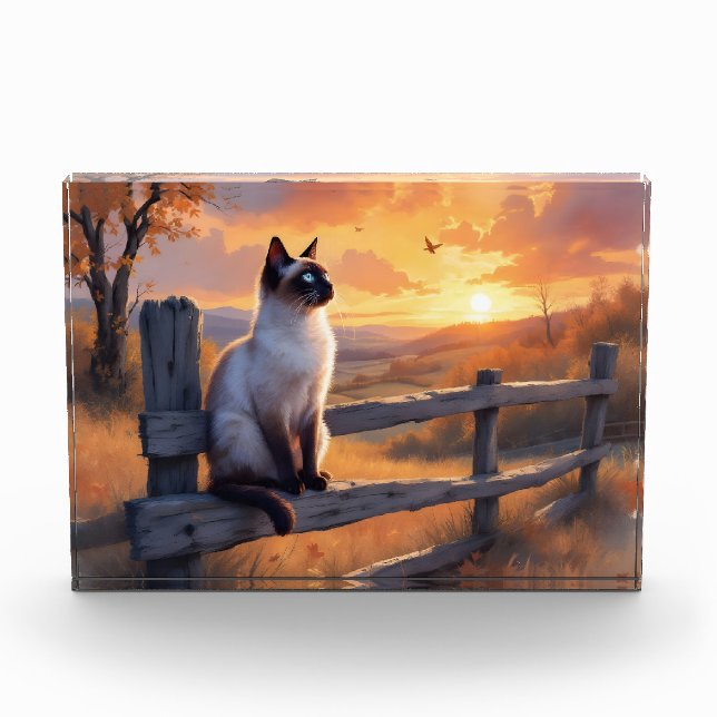 Siamese cat on split rail fence photo block (Front)