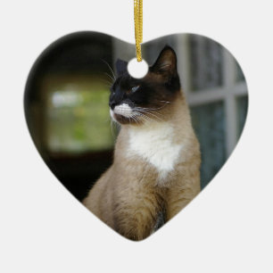 Siamese Cat on the Porch Ceramic Ornament