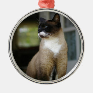 Siamese Cat on the Porch Metal Ornament