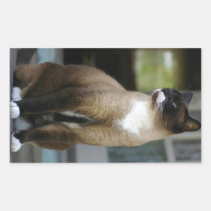 Siamese Cat on the Porch Sticker