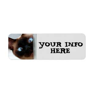 SIAMESE CAT PEEKING  RETURN ADDRESS LABELS