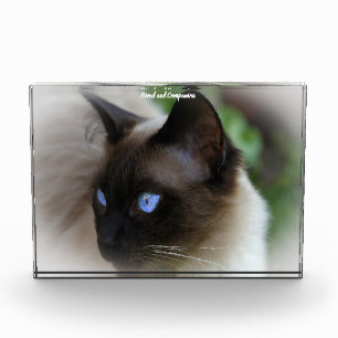 Siamese Cat Photo Block