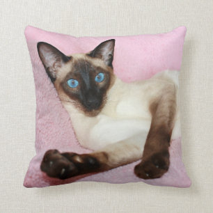 Siamese Cat Pink Background Throw Pillow