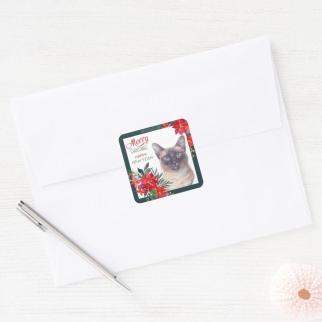 Siamese Cat Poinsettia Border Christmas Square Sticker (Envelope)