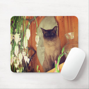 Siamese Cat Posing #1 Mouse Pad