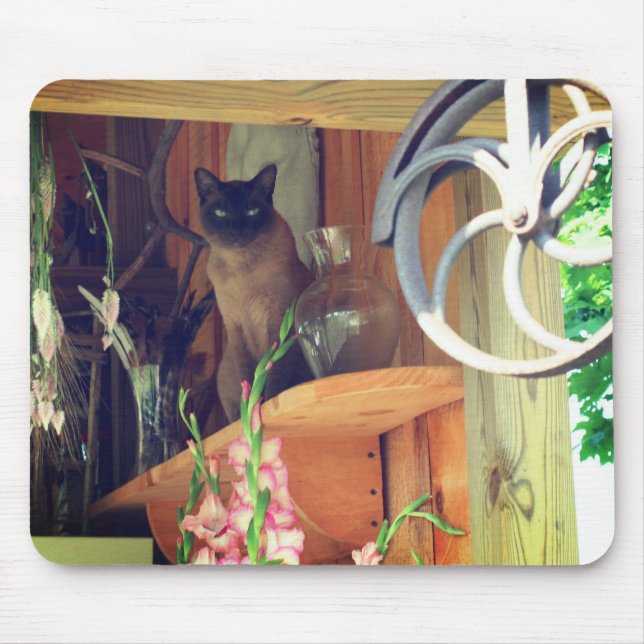 Siamese Cat Posing #2 Mouse Pad (Front)