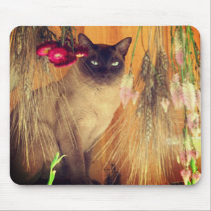 Siamese Cat Posing #3 Animal Mouse Pad