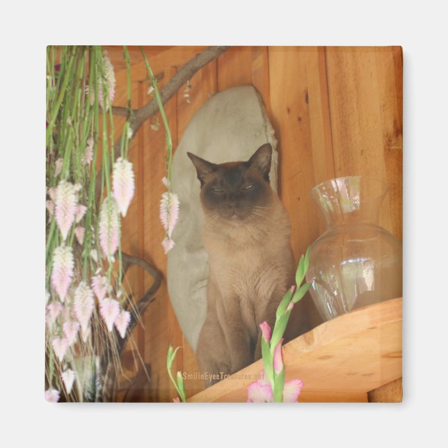 Siamese Cat Posing Animal Photography Magnet #1 (Front)