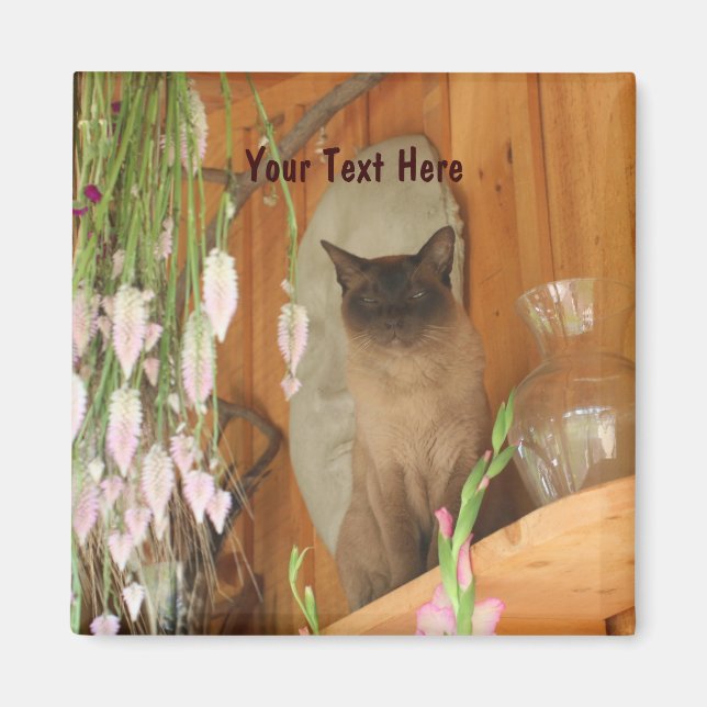 Siamese Cat Posing Animal Photography Magnet #1 (Front)