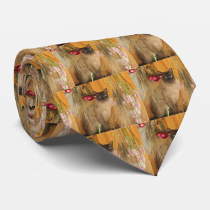Siamese Cat Posing Animal Photography Neck Tie