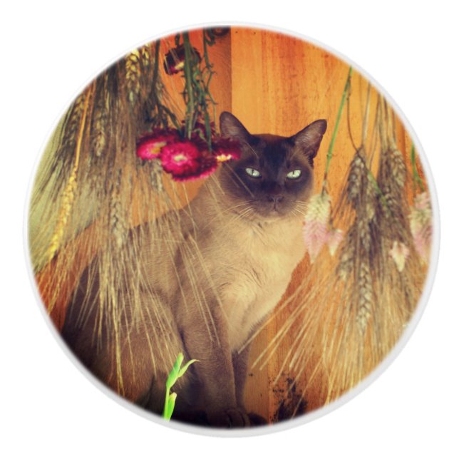 Siamese Cat Posing With Flowers  Ceramic Knob (Front)