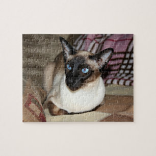 Siamese Cat Relaxing on Couch Jigsaw Puzzle