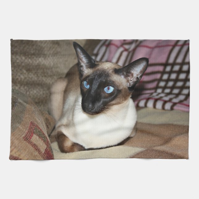 Siamese Cat Relaxing on Couch Kitchen Towel (Horizontal)
