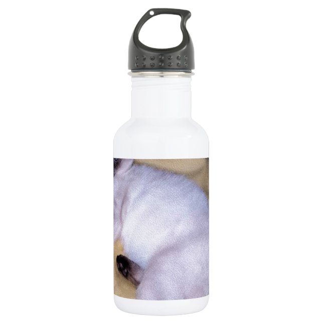Siamese cat sandstone animal art pet cute kitty 532 ml water bottle (Front)