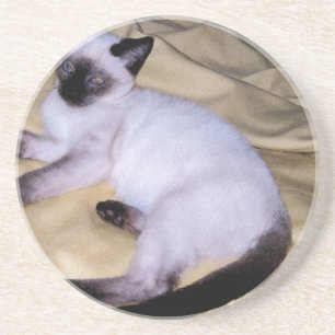 Siamese cat sandstone animal art pet cute kitty coaster