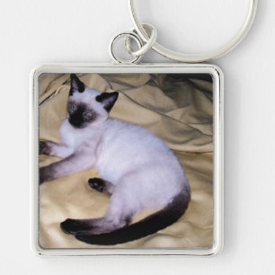 Siamese cat sandstone animal art pet cute kitty keychain