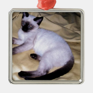 Siamese cat sandstone animal art pet cute kitty metal ornament