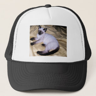 Siamese cat sandstone animal art pet cute kitty trucker hat