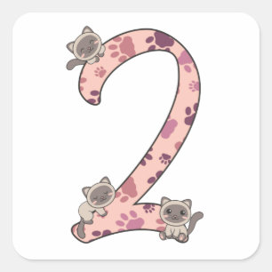 Siamese Cat Second Birthday For Kids Cats Square S Sticker