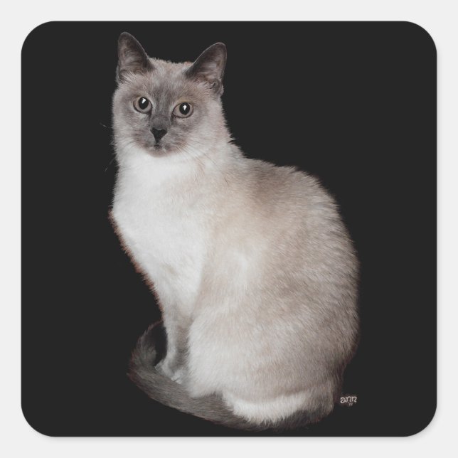 Siamese Cat Square Sticker (Front)