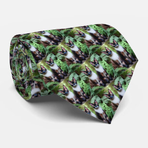 Siamese Cat Twins, Neck Tie
