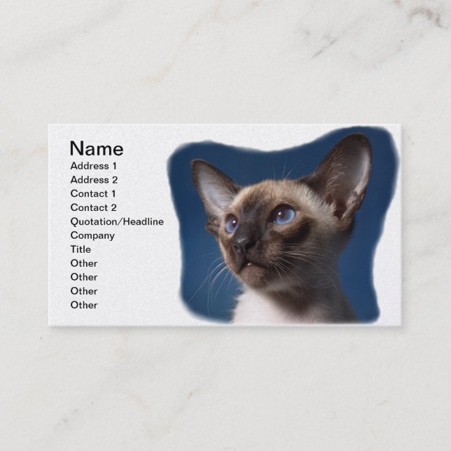 Siamese Cat with Blue Eyes Business Card (Front)