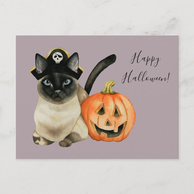 Siamese Cat with Pirate Hat | Happy Halloween Postcard (Front)