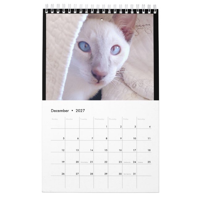 Siamese Cats Calendar (Dec 2027)