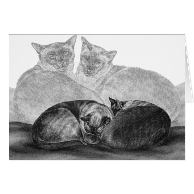 Siamese Cats Drawing by Kelli Swan (Front Horizontal)