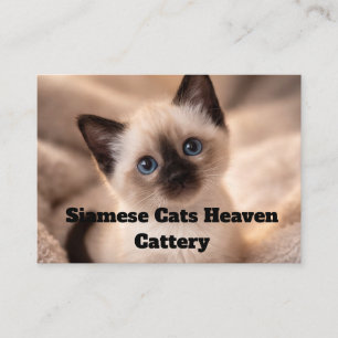 Siamese Cats Heaven Cattery Customizable Business Card