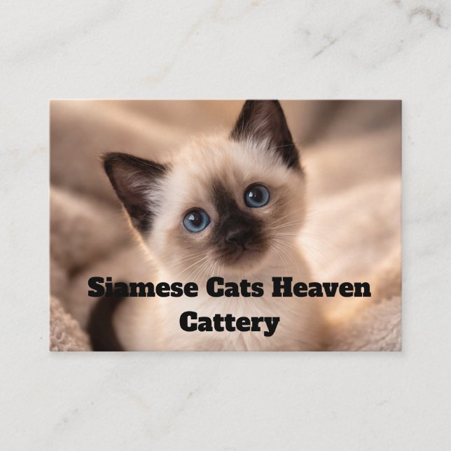 Siamese Cats Heaven Cattery Customizable Business  Card (Front)