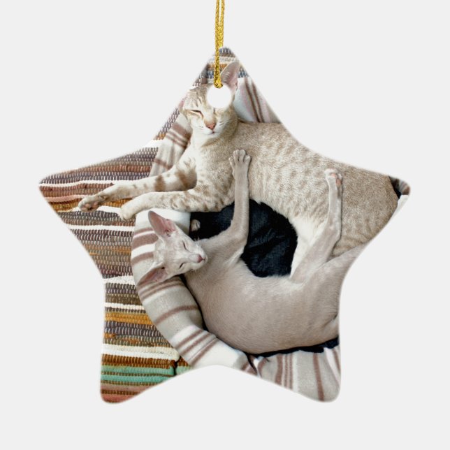 Siamese Cats Just Chillin! Ceramic Ornament (Front)