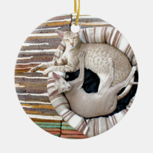 Siamese Cats Just Chillin! Ceramic Ornament