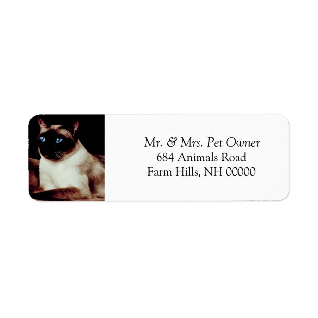 Siamese Chat Adresse de retour Stickers Étiquettes (Devant)