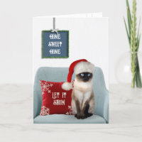 Siamese Christmas Cat on Chair