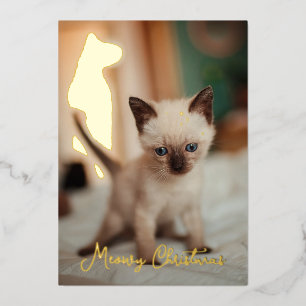 Siamese christmas foil holiday card