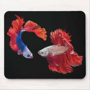 Siamese Fighting Fish Mouse Pad