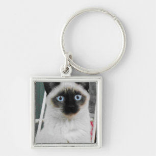 Siamese Keychain