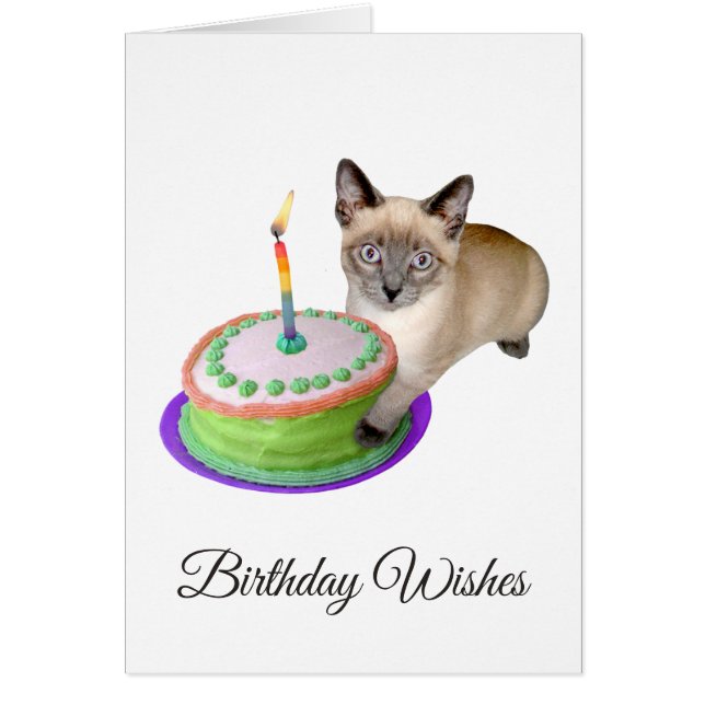 Siamese Kitten avec carte d'anniversaire de gâteau (Devant)