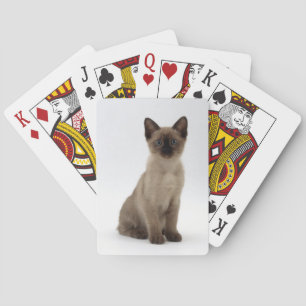 Siamese Kitten Cat Playing Cards