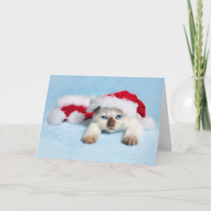 Siamese Kitten: Christmas Kitty Holiday Card