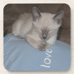 Siamese kitten coaster