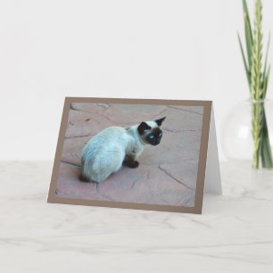 Siamese kitten holiday card
