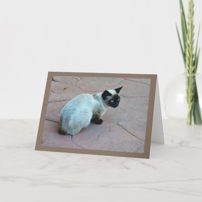 Siamese kitten holiday card (Front)