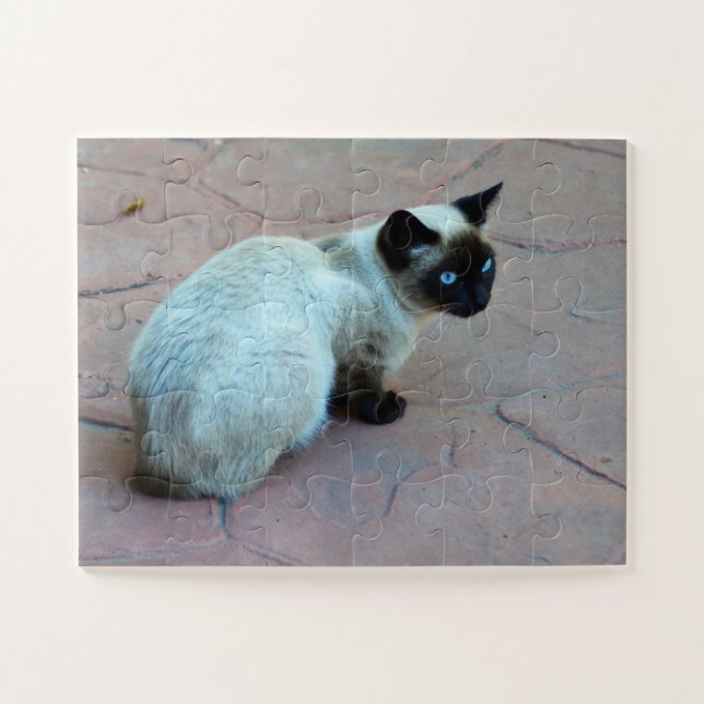 Siamese kitten jigsaw puzzle (Horizontal)