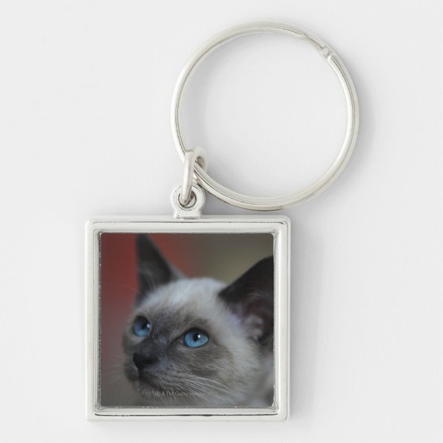Siamese kitten keychain (Front)