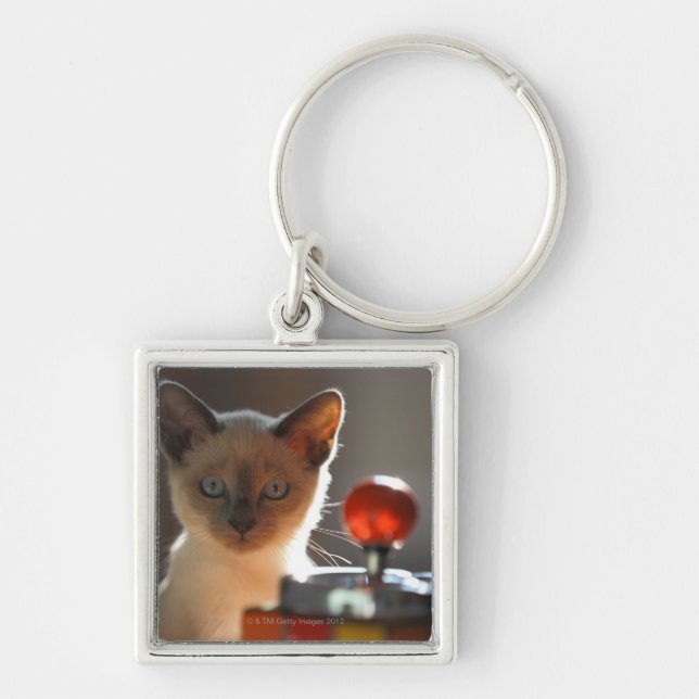 Siamese kitten keychain (Front)