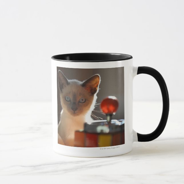 Siamese kitten mug (Right)