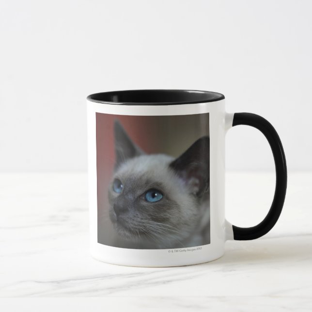Siamese kitten mug (Right)
