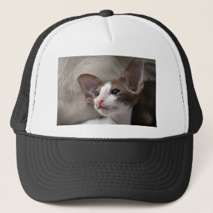 Siamese Kitten with big ears Trucker Hat